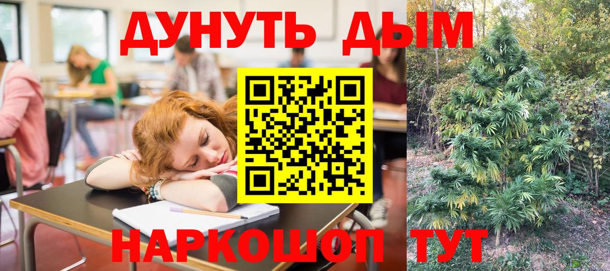МАРИХУАНА сатива  Вход с VPN  Бошки марихуана семена  Бошки Шишки тримм  Новозыбков 